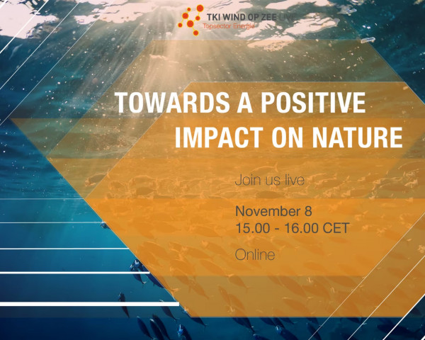 Towards a positive impact on nature